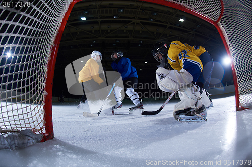 Image of ice hockey goalkeeper