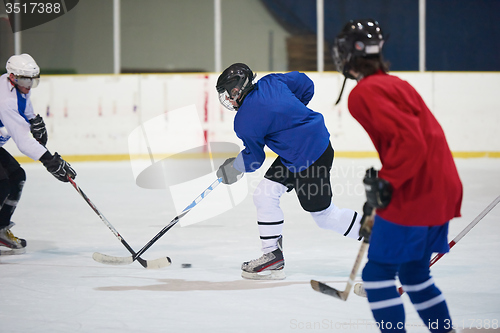 Image of ice hockey sport players