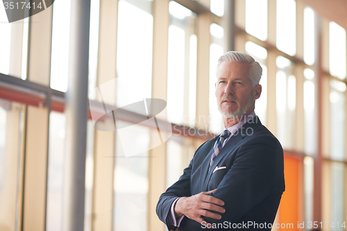 Image of senior business man portrait