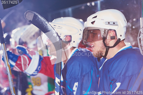 Image of ice hockey players on bench