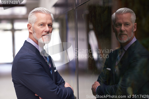 Image of senior business man portrait