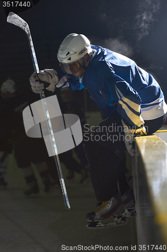 Image of ice hockey players on bench