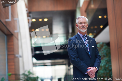 Image of senior business man portrait