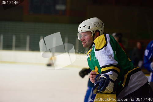 Image of ice hockey players on bench