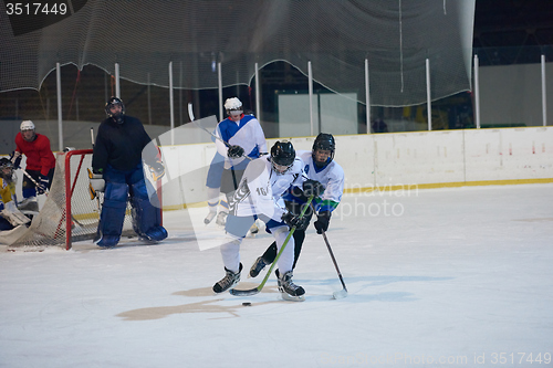 Image of ice hockey sport players