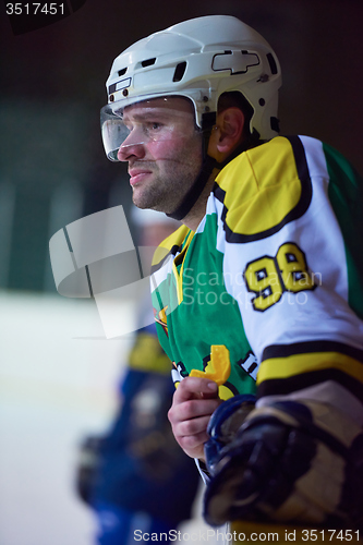 Image of ice hockey players on bench