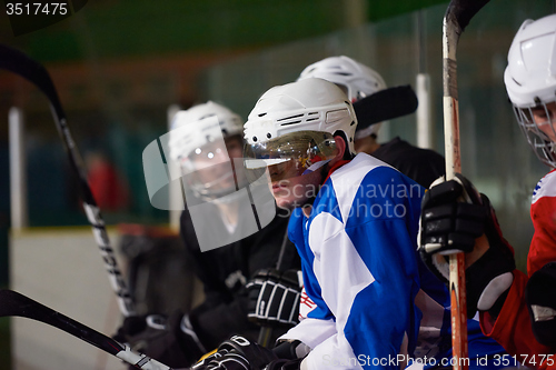 Image of ice hockey players on bench