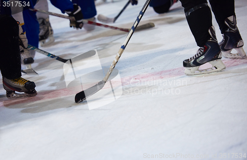 Image of ice hockey player in action