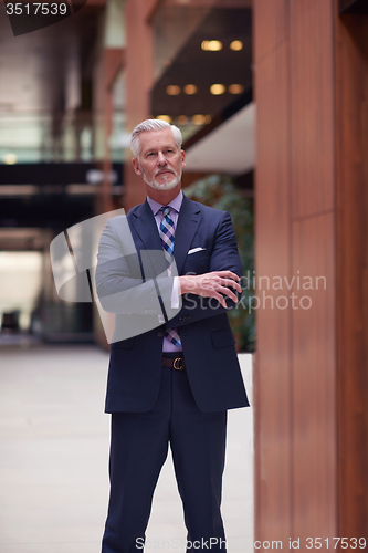 Image of senior business man portrait