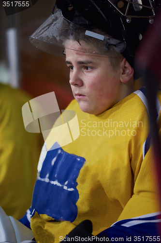 Image of ice hockey players on bench