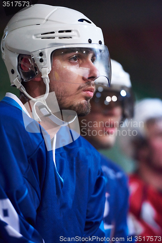 Image of ice hockey players on bench