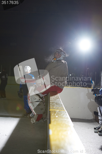 Image of ice hockey players on bench