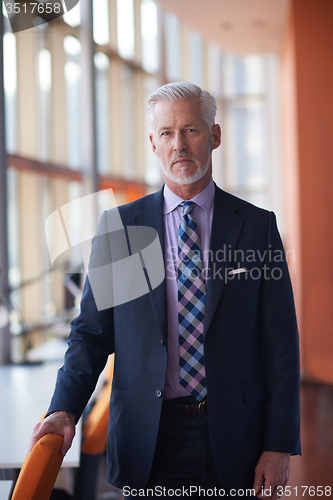 Image of senior business man portrait