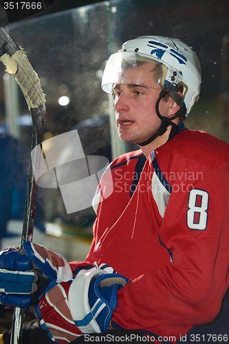 Image of ice hockey player portrait