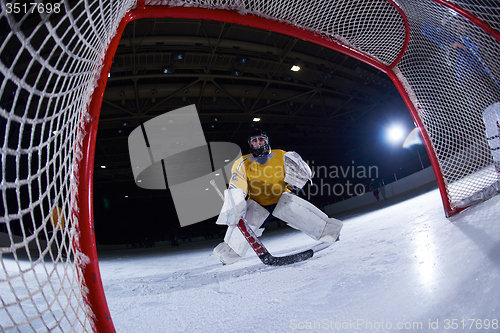 Image of ice hockey goalkeeper