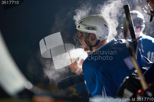 Image of ice hockey players on bench