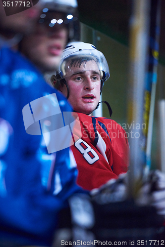 Image of ice hockey players on bench