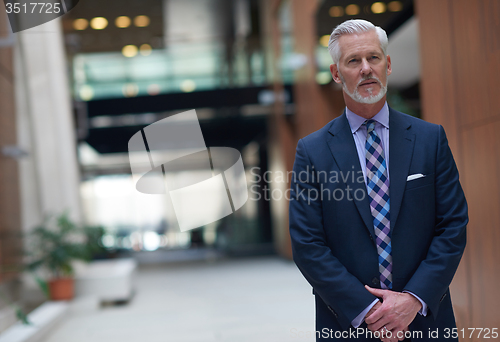 Image of senior business man portrait