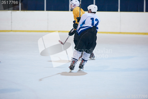 Image of ice hockey player in action