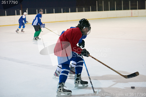 Image of ice hockey sport players