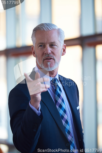 Image of senior business man portrait