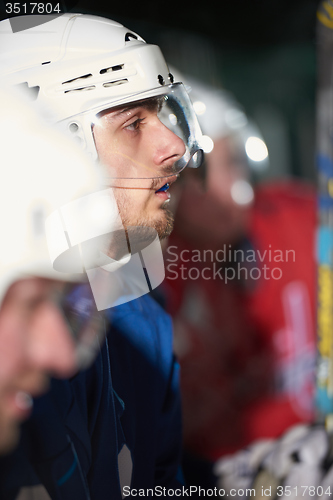 Image of ice hockey players on bench