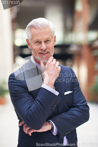 Image of senior business man portrait