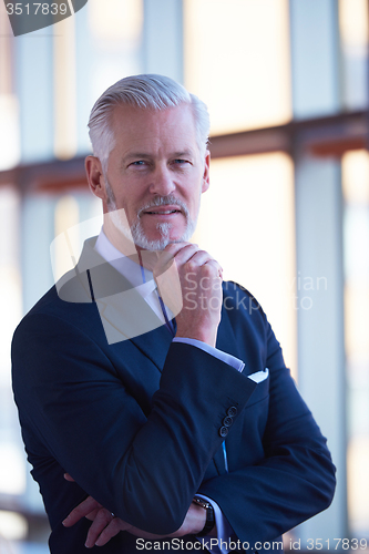 Image of senior business man portrait