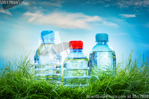 Image of Water bottle on the grass