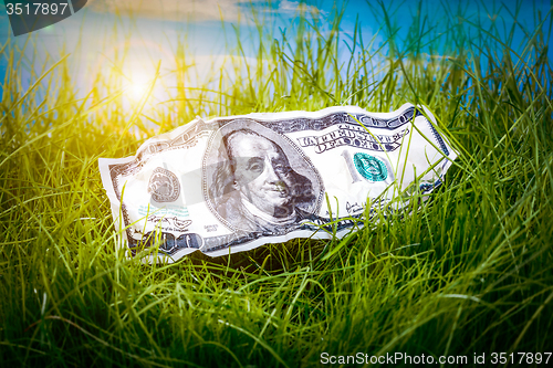 Image of Dollars in the green grass