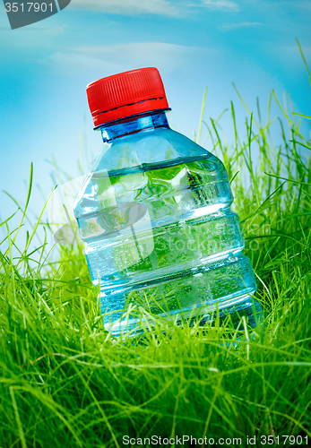 Image of Water bottle on the grass