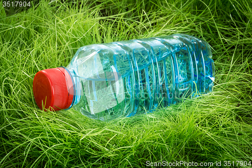 Image of Water bottle on the grass