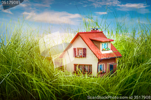 Image of House on the green grass