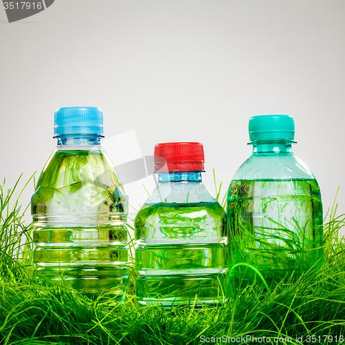 Image of Water bottle on the grass