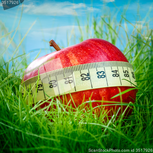 Image of Apple on the grass