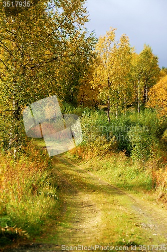 Image of Autumn road