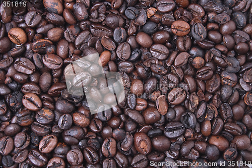 Image of coffea