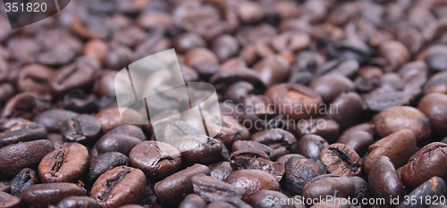 Image of coffea