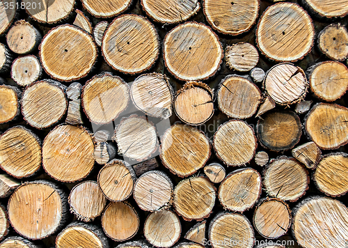 Image of Background from dry wood logs stacked on each other