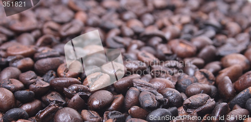 Image of coffea
