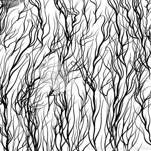 Image of Trees Background