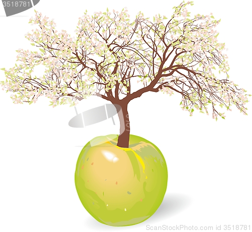 Image of Blossoming new apple tree