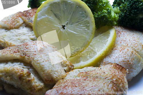 Image of stuffed filet of sole