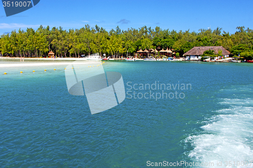 Image of beach ile du cerfs seaweed in indian people and rock