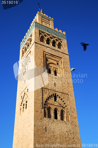 Image of in maroc africa minaret and the bird