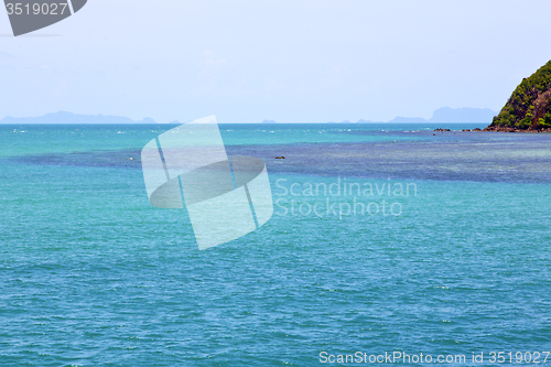 Image of   phangan  bay  coastline of a green lagoon and tree 