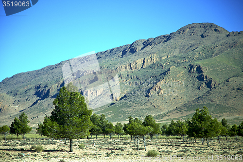 Image of valley in   africa tree  isolated hill 