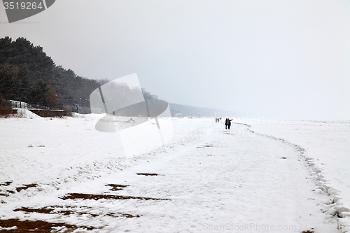 Image of Frozen sea