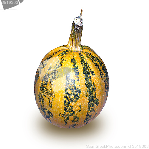 Image of pumpkin