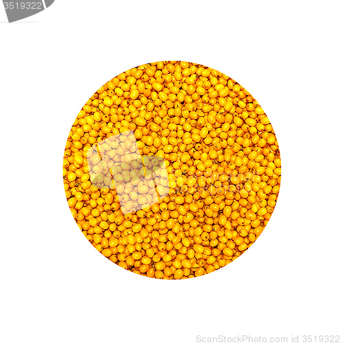 Image of sea buckthorn